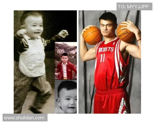 姚明畅谈篮球梦想与未来发展央视独家专访揭示背后的故事与情感 姚明畅谈篮球梦想与未来发展央视独家专访揭示背后的故事与情感